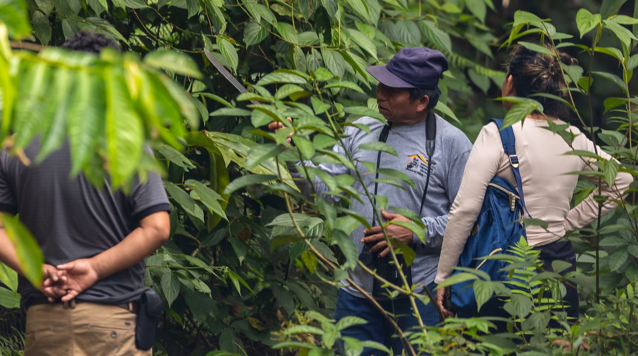 Guía de Naturamazon explicando el bosque a un grupo de visitantes