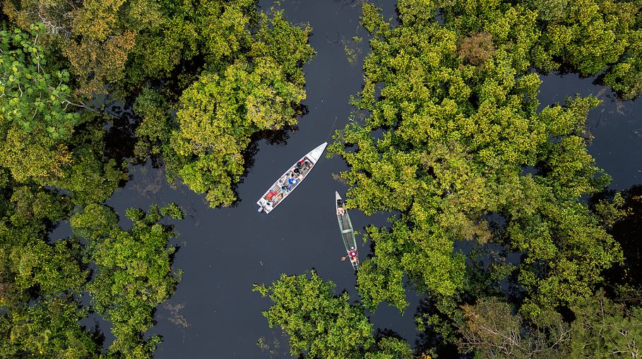 Botes amarrados en una quebrada de aguas oscuras
