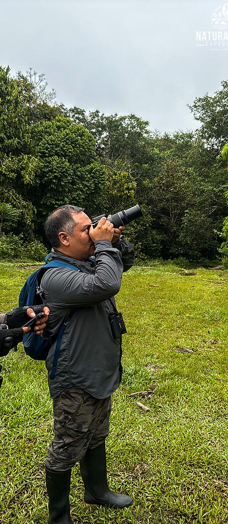 Visitante fotografiando la copa de los árboles desde el claro