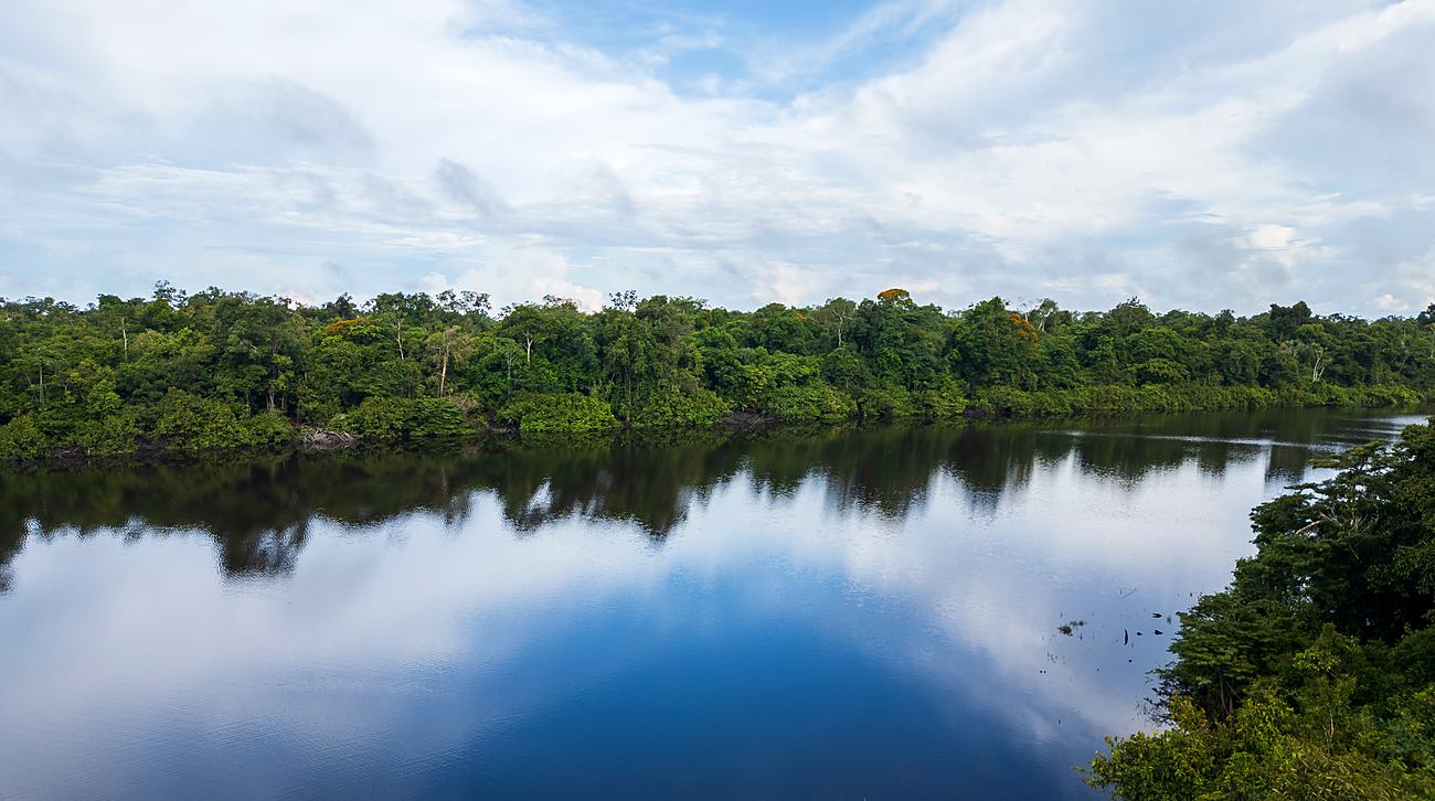 Cocha rodeada de bosque bajo un cielo cargado de nubes