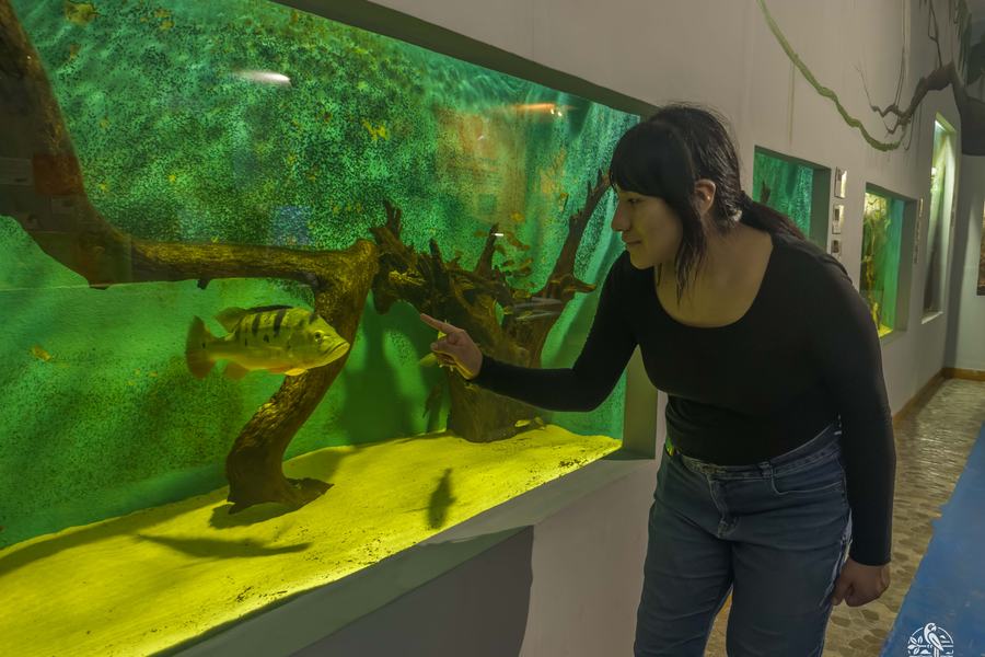 Visitante frente a uno de los grandes acuarios del centro de rescate