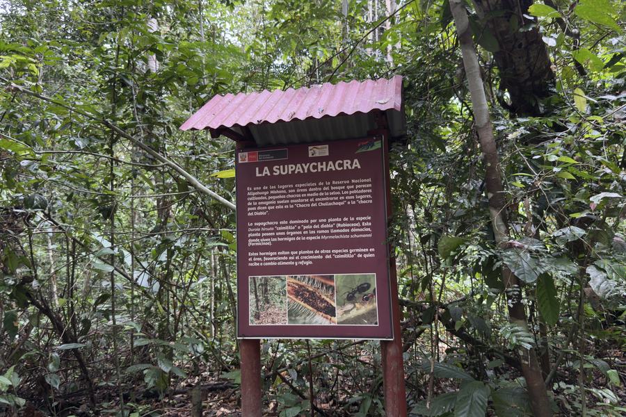 Cartel interpretativo de la Supaychacra en pleno sendero