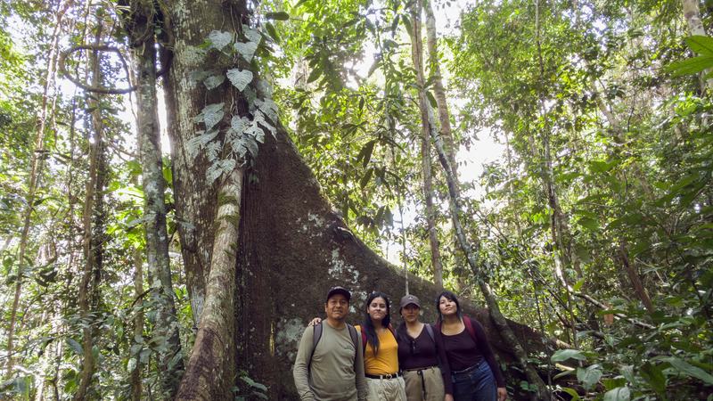 Grupo de visitantes al pie de las raíces tabulares de un árbol gigante en la reserva