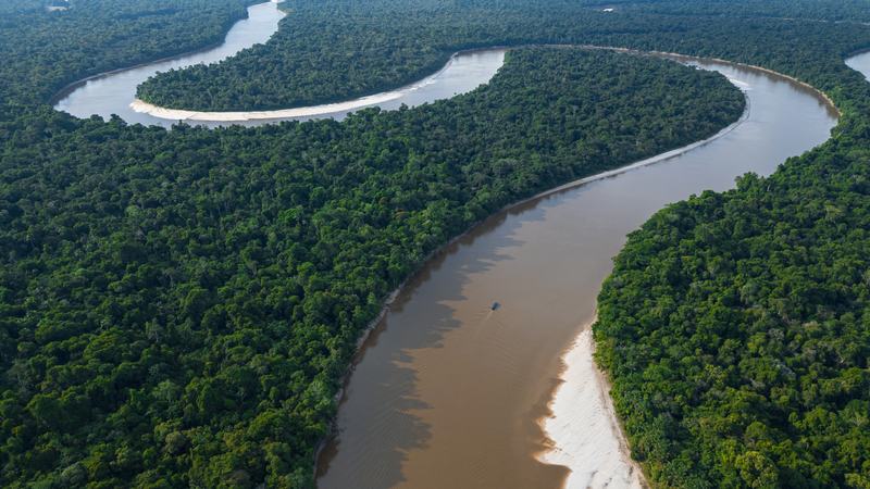 Vista aérea de los meandros del río Nanay rodeados de bosque